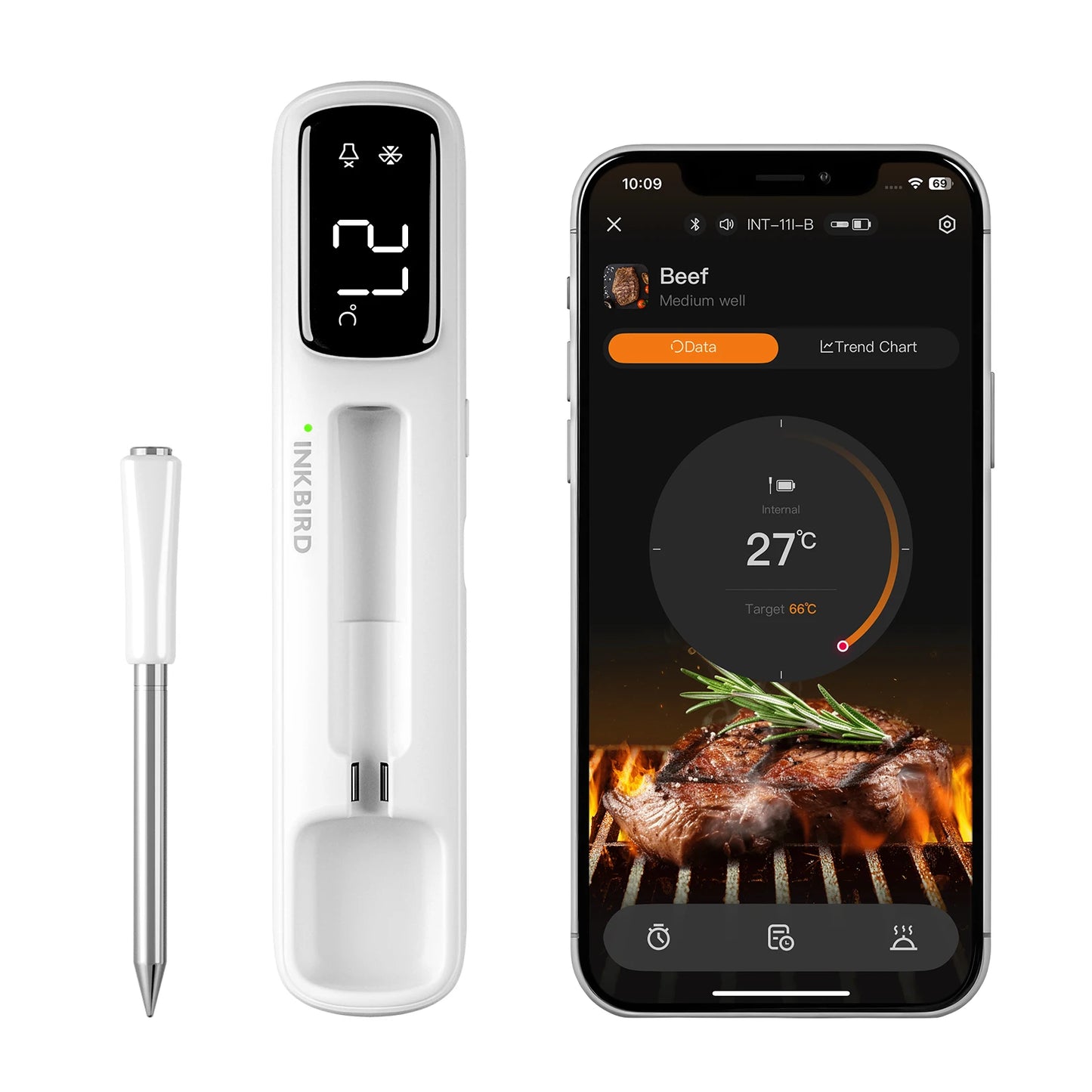 Wireless Meat Thermometer