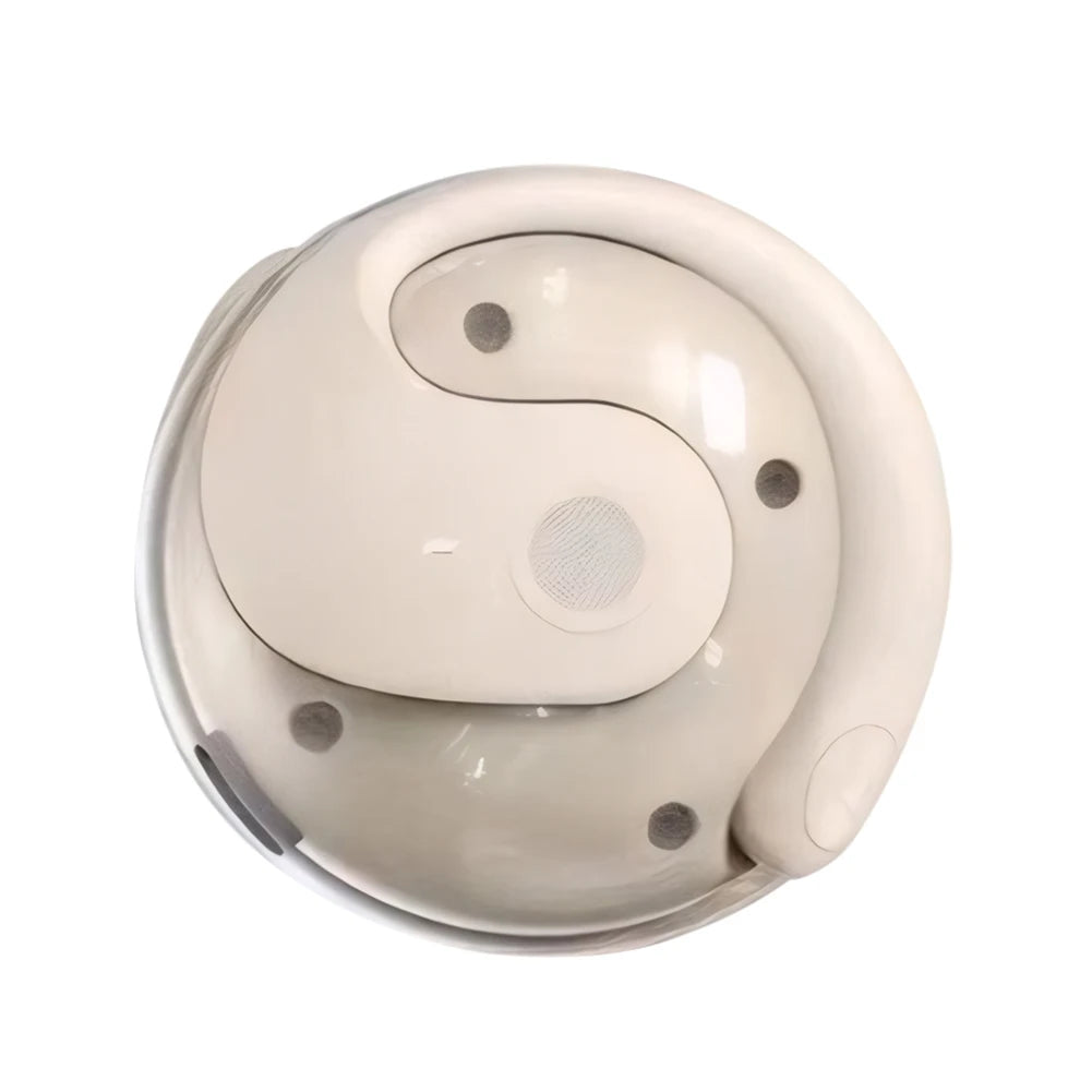 AI Translation Earbuds
