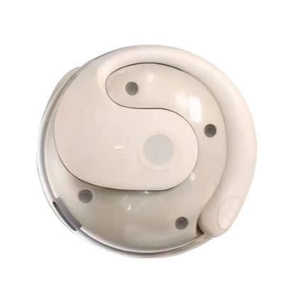AI Translation Earbuds