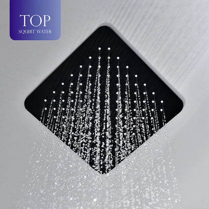 Thermostatic Shower System